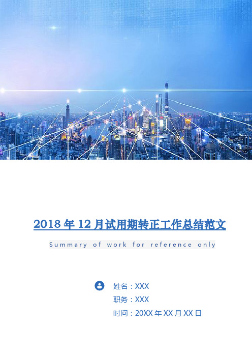 2018年12月试用期转正工作总结范文