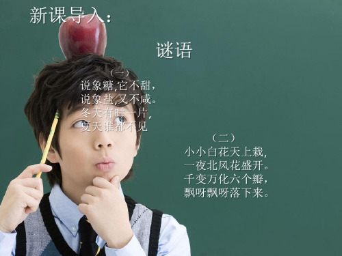 雪花课件ppt