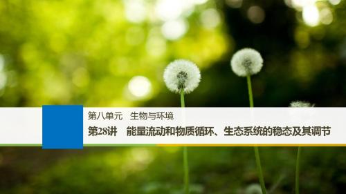 2019版大一轮高三一轮复习系列选考总复习(浙江专版)生物课件：第八单元 生物与环境 第28讲