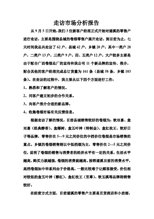 走访市场分析报告