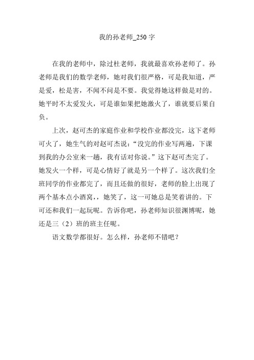 我的孙老师_250字
