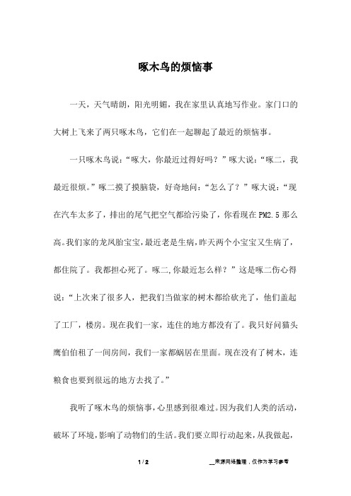 啄木鸟的烦恼事