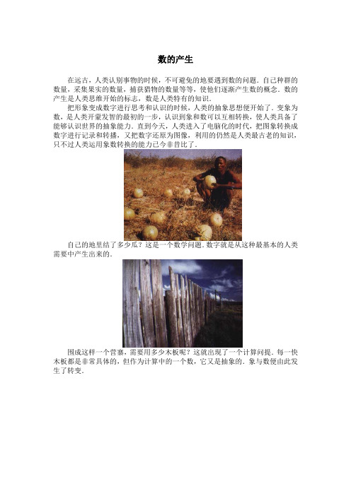 数的产生
