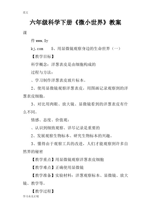 【范文】六年级科学下册《微小世界》教案