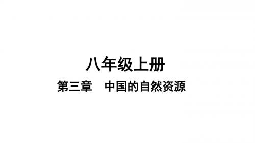 2019年中考地理(湘教版)复习课件-八年级第3章中国的自然资源
