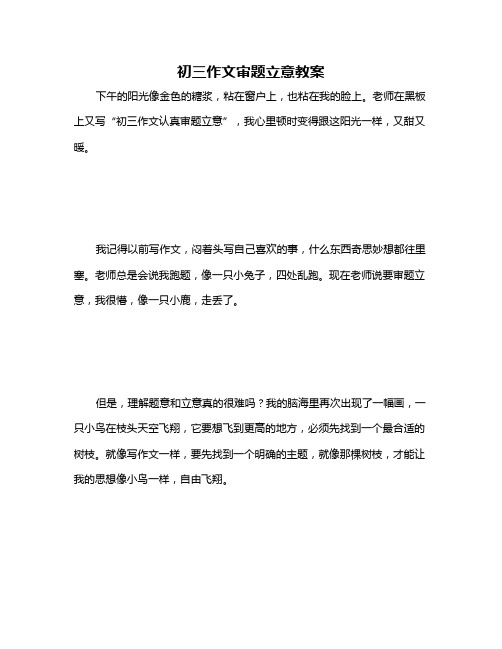 初三作文审题立意教案