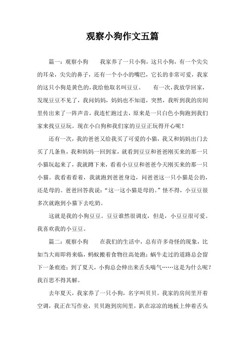 观察小狗作文五篇