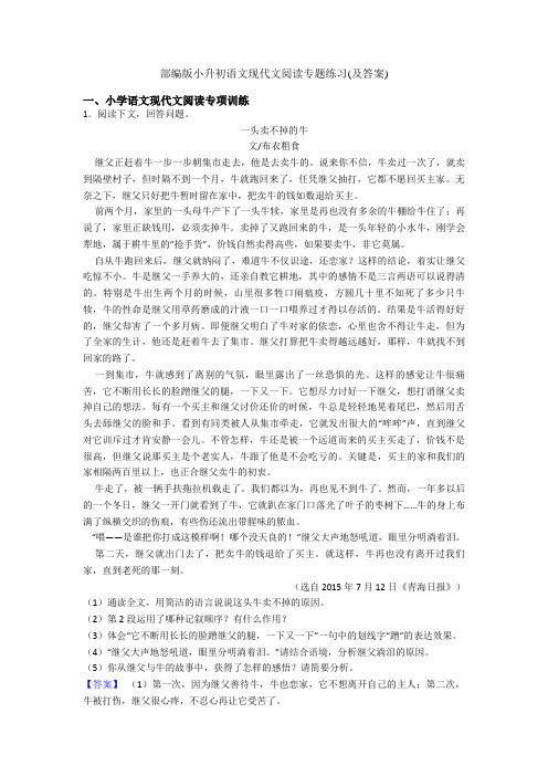 部编版小升初语文现代文阅读专题练习(及答案)