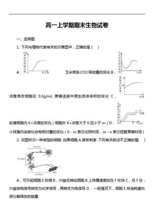 高一上学期期末生物试卷第5套真题