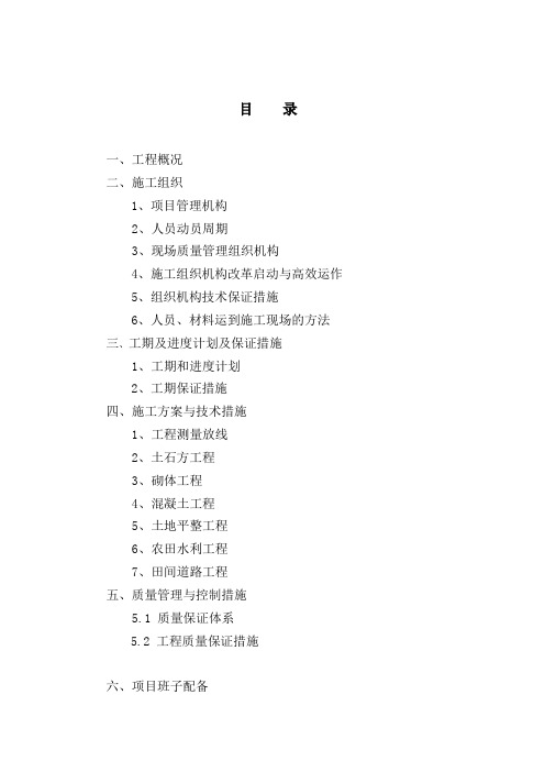 移民后扶整村推进示范片建设项目施工组织设计