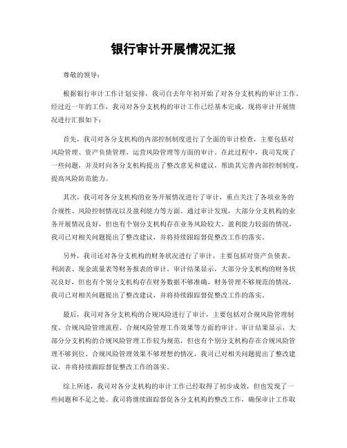 银行审计开展情况汇报