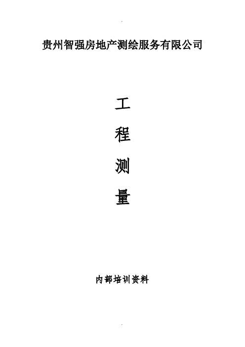 大比例地形图及测绘