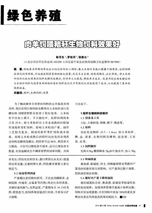 肉羊饲喂秸秆生物饲料效果好