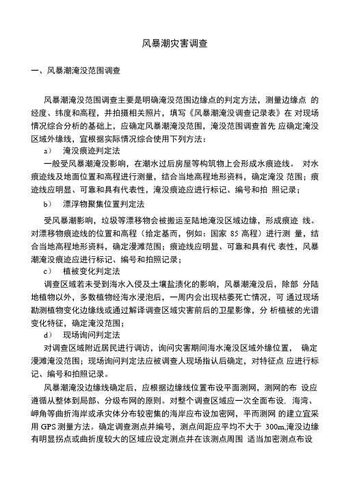 风暴潮灾害调查