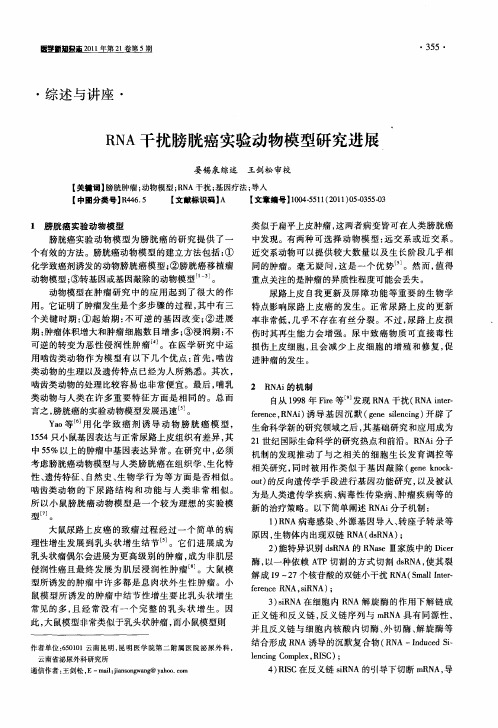 RNA干扰膀胱癌实验动物模型研究进展