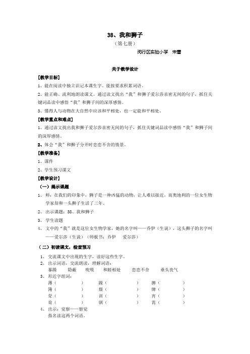 我和狮子