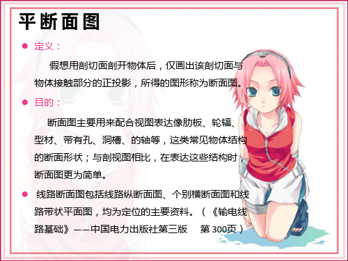 输电线路平断面图基础知识19页PPT