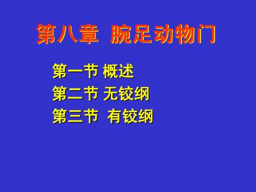 第八章  腕足动物门