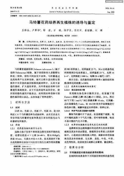 马铃薯花药培养再生植株的诱导与鉴定