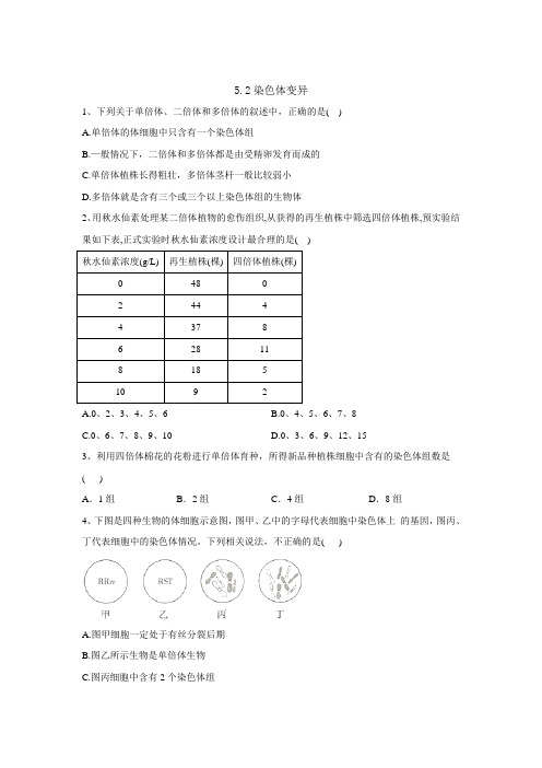 2019-2020学年高中生物人教(2019)必修二同步学典：5.2染色体变异 Word版含答案