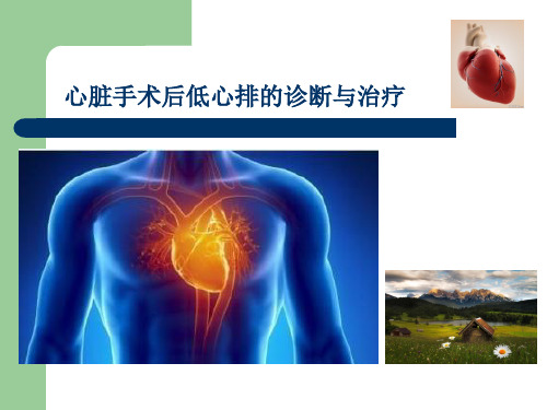 低心排综合征ppt