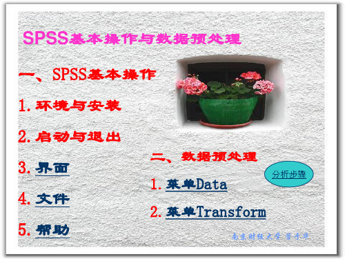 SPSS基本操作与数据预处理