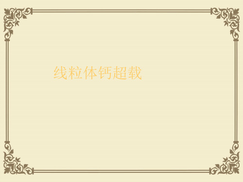 线粒体钙超载