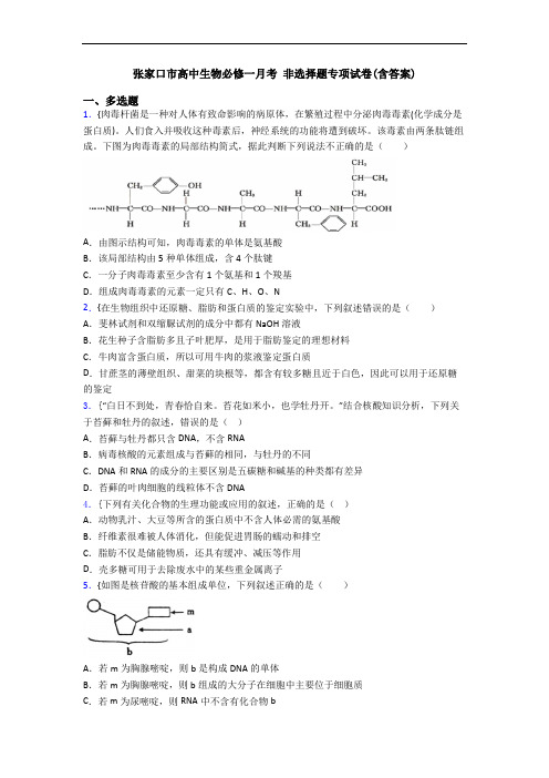 张家口市高中生物必修一月考 非选择题专项试卷(含答案)