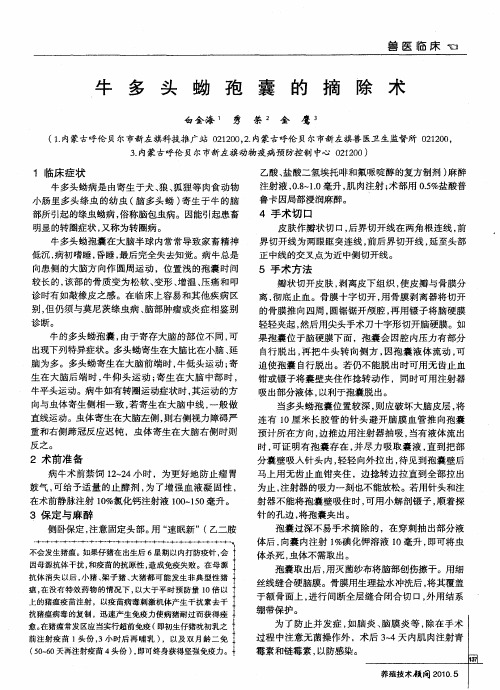 牛多头蚴孢囊的摘除术