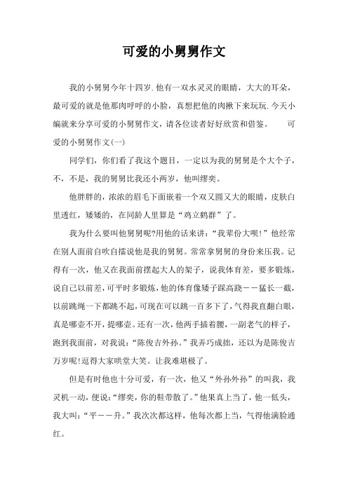 可爱的小舅舅作文