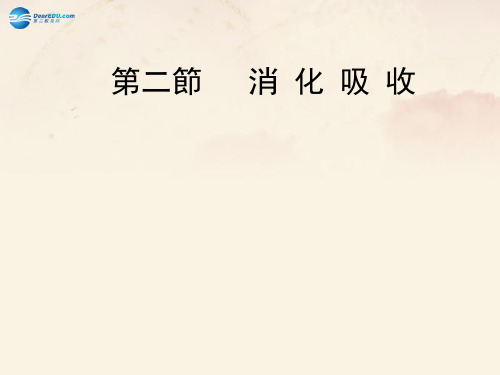 济南初中生物七下《消化和吸收》PPT课件(4)