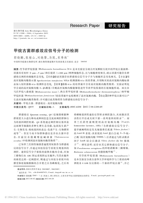 甲烷古菌群感效应信号分子的检测