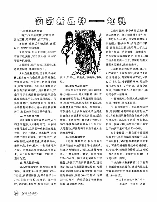 葡萄新品种——红乳
