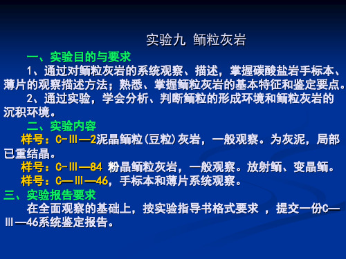 实验九：鲕粒灰岩