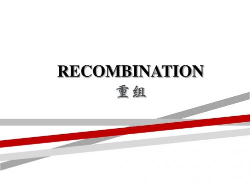 博士研究生课生命科学前沿进展重组魏炽炬.ppt