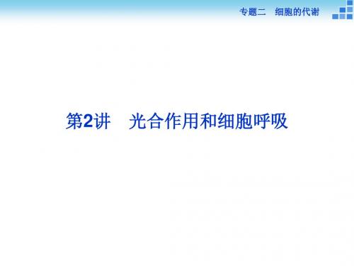高考总复习(第二轮)·生物(渝闽专用)课件：专题二 细胞的代谢 第2讲