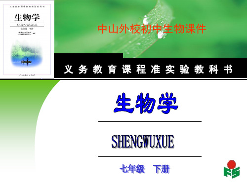 第二节  血流的管道 血管