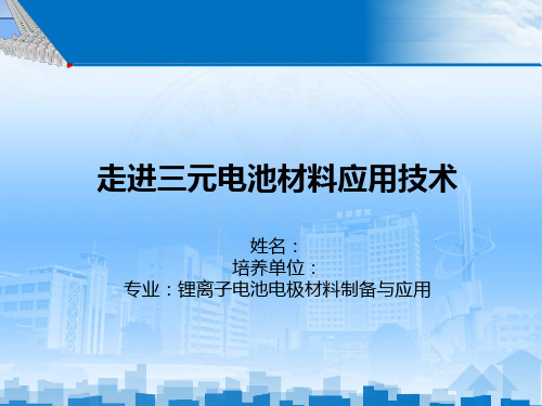 走进三元材料电池技术与应用ppt课件