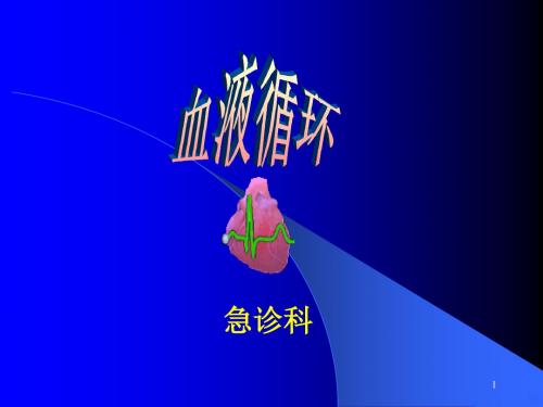 血液循环ppt课件