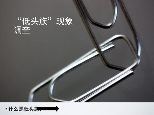 低头族现象调查PPT培训课件