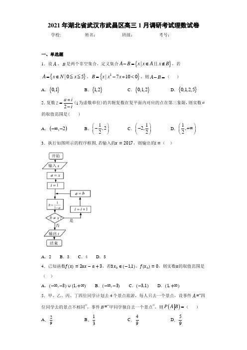 2021届湖北省武汉市武昌区高三1月调研考试理数试卷