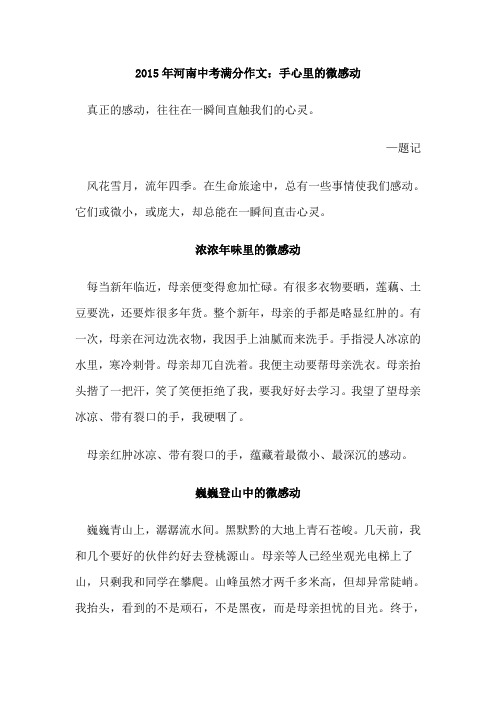 2015年河南中考满分作文