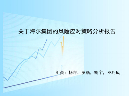 关于海尔集团的风险应对策略分析报告