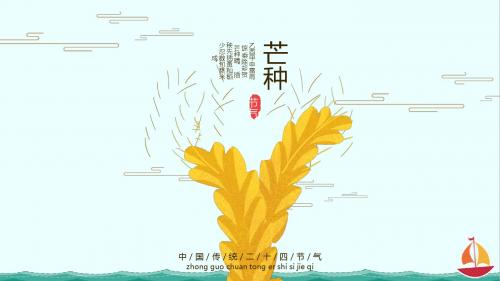 【节日节气】芒种稻谷丰收季节活动通用模板ppt【精选】【优质】