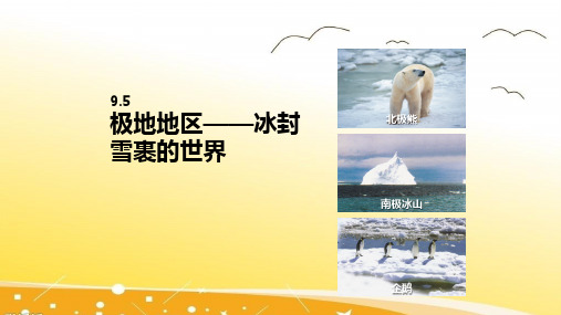 2020-2021学年晋教版七年级下册9.5极地地区——冰封雪裹的世界课件