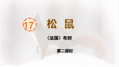 17 松鼠  第二课时(课件)部编版语文五年级上册