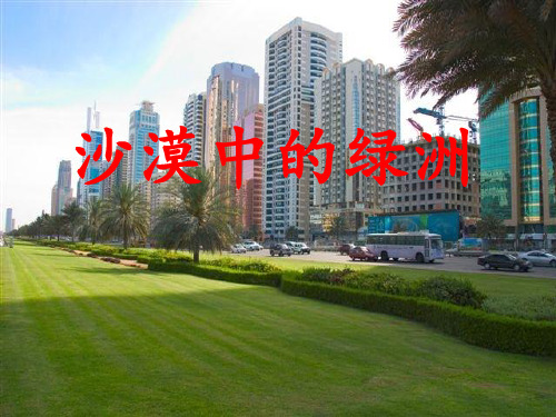 《沙漠中的绿洲》PPT课件