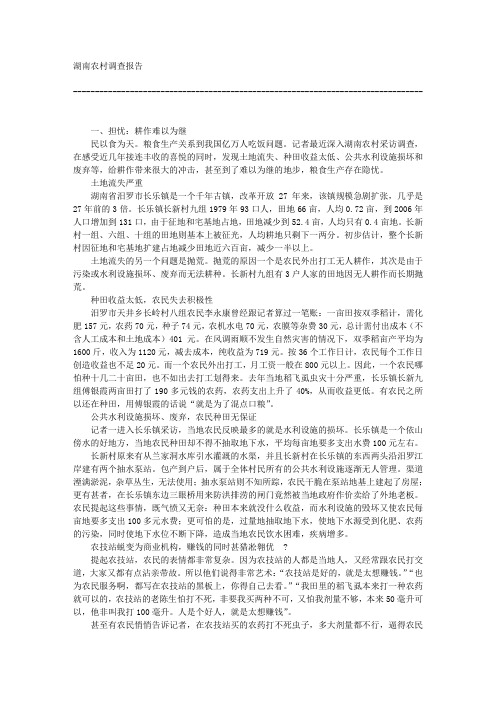 湖南农村调查报告