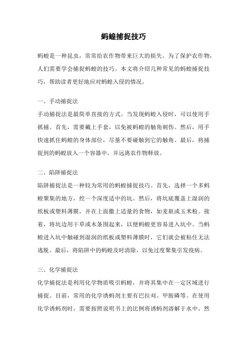 蚂蝗捕捉技巧