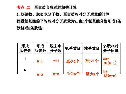 蛋白质合成过程相关计算